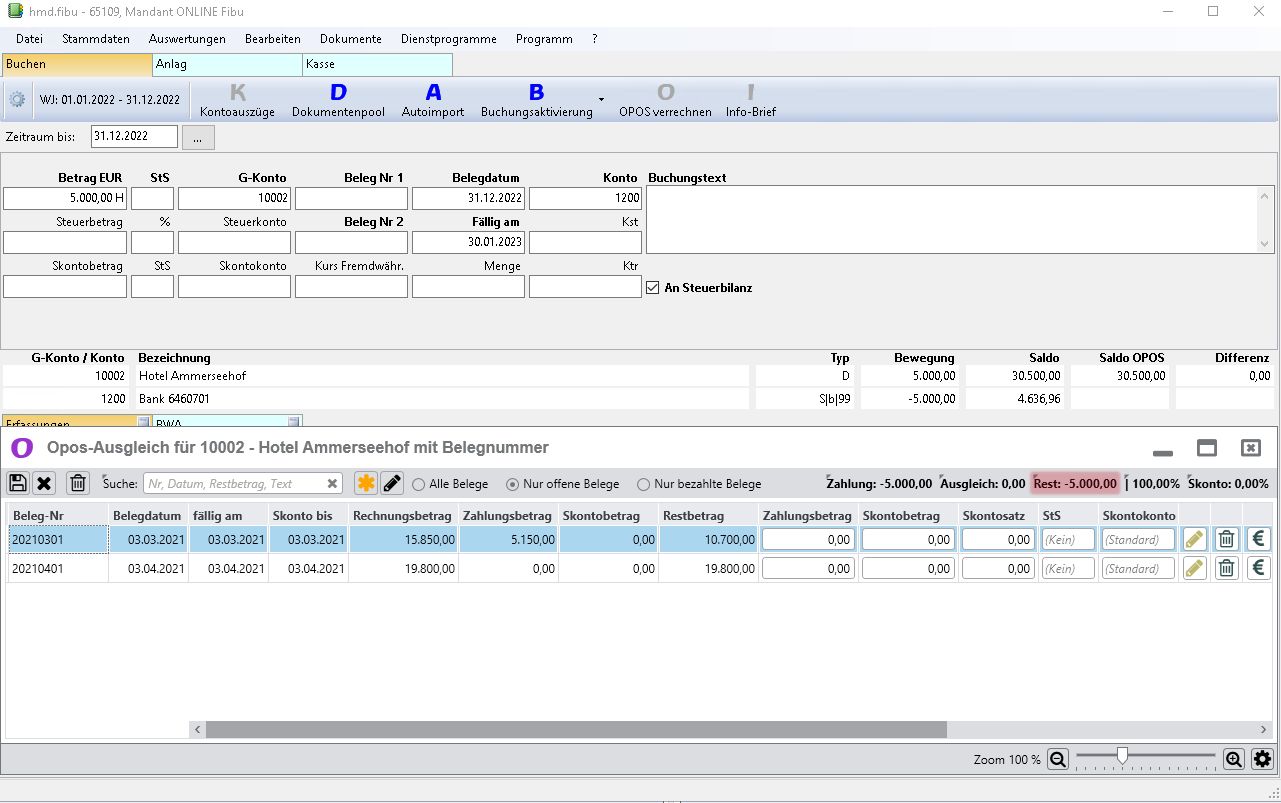 Rechnungswesen f�r Steuerberater - Finanzbuchhaltung - Offene Posten  - �bersicht