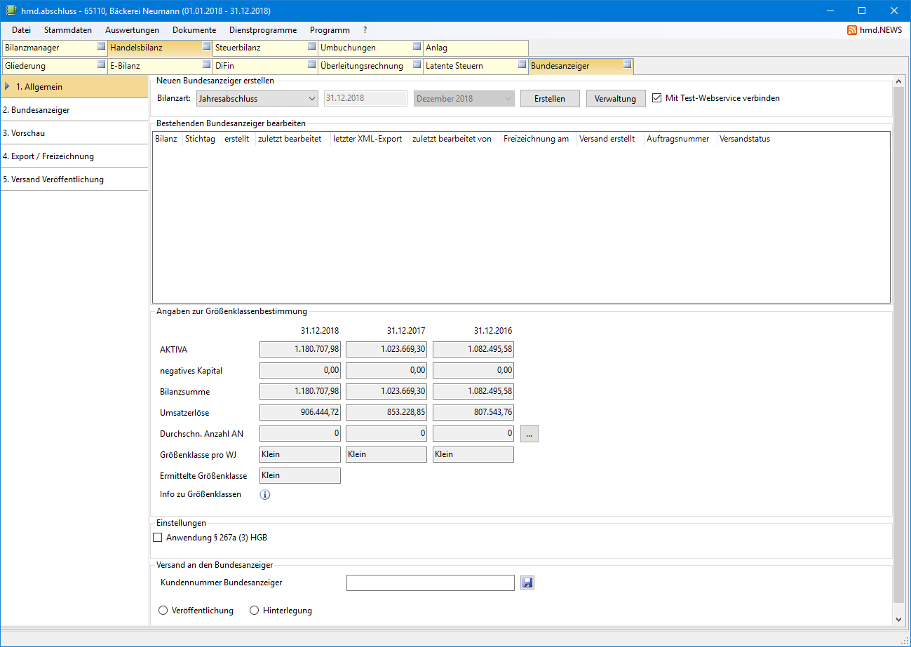 Rechnungswesen f�r Steuerberater - Rechnungswesen - Jahresabschluss - Bundesanzeiger - �bersicht